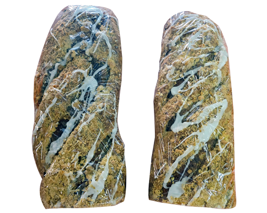 Poppy & Walnut Strudel